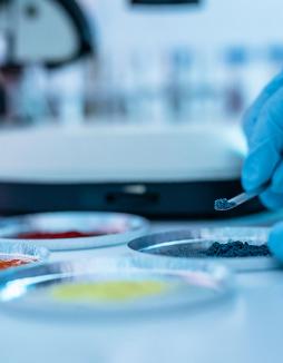 nutraceutical ingredients